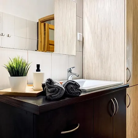 Premium For 6 People With Parking Next To Tauron Arena, Cracow Center * Krakau